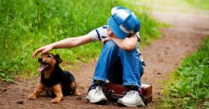Pro-tips for facing grief & trauma: How to cope with pet loss?