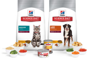 Pet Supplies For Your Cat Or Dog