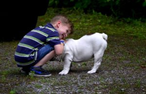 How to Instill a Love of Pets within Your Child