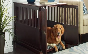 How to Choose the Correct Size for Your Dog Carriers