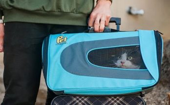 Soft-Sided Pet Carrier - Luxurious Pet Travel