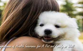 Importance of Health Insurance for A Pet and Family as Well