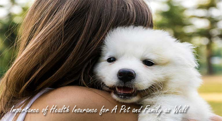Importance of Health Insurance for A Pet and Family as Well