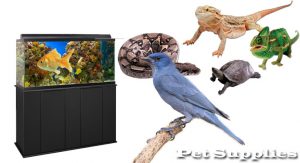 Bird, Fish and Reptile Supplies Fundamentals