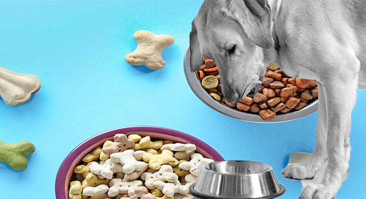 More People Are Shopping for Dog Food Online Than Ever Before