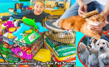 Inventive advertising Tips For Pet Stores