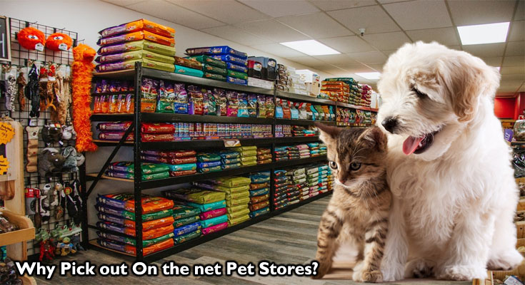 Why Pick out On the net Pet Stores?