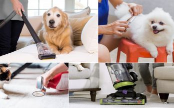Tips to Keeping the House Clean With Indoor Pets