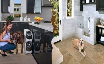 Dog Education in the Kitchen