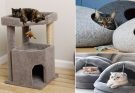 Cool Cat Beds and Cat Feeders - 3 Basic Types of Cat Furniture to Choose From