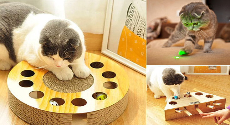 How to Choose Interactive Cat Toys For Your Cat