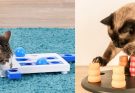 Cat Food Puzzles Is Easy to Make, Fun, and Effective For Your Cat