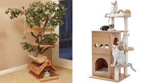 Pros and Cons of a Modern Cat Tree
