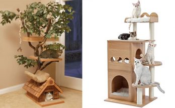 Pros and Cons of a Modern Cat Tree