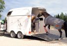 How to Choose the Right Horse Transport