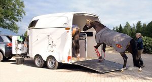 How to Choose the Right Horse Transport