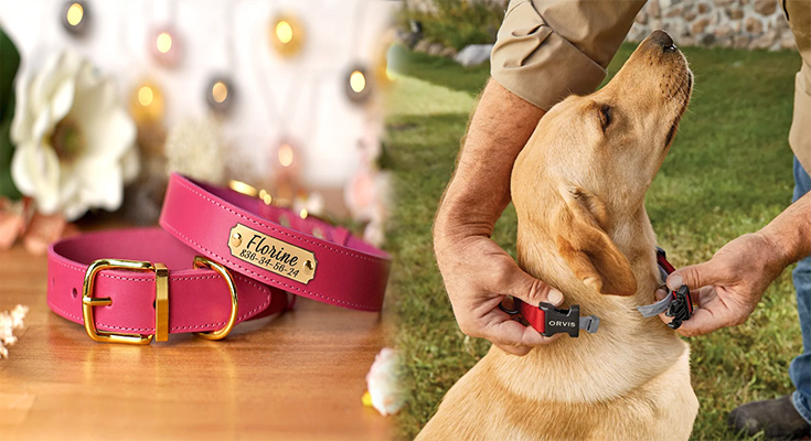 Cute custom dog collars