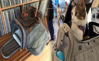 Free Airline-Approved Pet Carriers