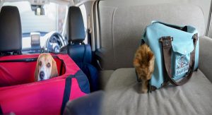 Pet Carriers That Are Environmentally Friendly