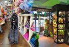 Sustainable and Eco-Friendly Pet Shops