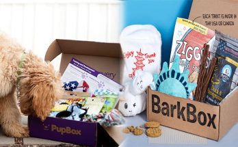The Best Pet Subscription Boxes For Dogs