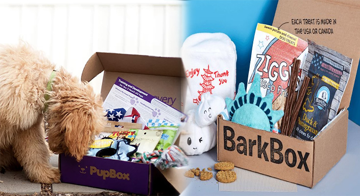 The Best Pet Subscription Boxes For Dogs