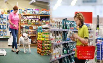 What To Look For In A Sustainable Pet Supply Store