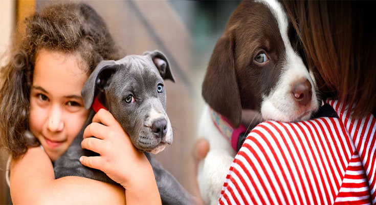 The Best Puppy Breeds for Families with Young Kids