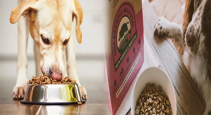 Best Grain-Free Dry Dog Food for Sensitive Stomachs: A Comprehensive Guide