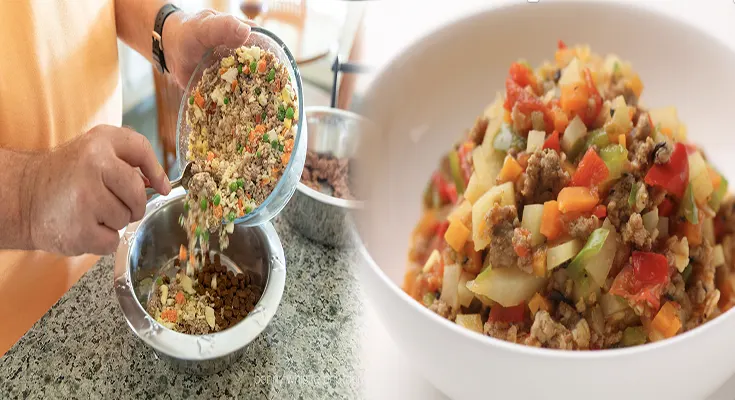 Homemade Healthy Dog Food Recipes for Senior Dogs: Nutritious Meals for Your Aging Companion