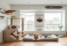 Best Furniture and Vertical Space Solutions for a Harmonious Multi-Pet Household