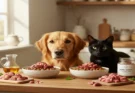 The Power of Nutrient Density: Benefits of Human-Grade Organ Meat Toppers for Dogs and Cats